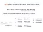התאמה מרובת רצפים: ( MSA ) Multiple Sequence Alignment - slide 1