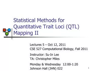 Statistical Methods for Quantitative Trait Loci (QTL) Mapping II