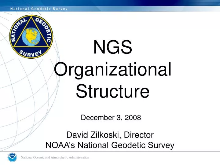 ngs organizational structure