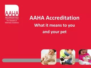AAHA Accreditation What it means to you and your pet