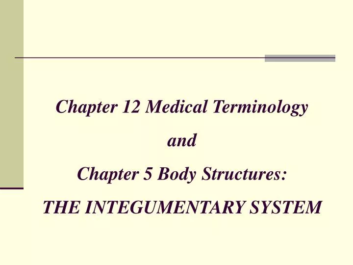 chapter 12 medical terminology and chapter 5 body structures the integumentary system