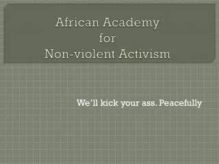 African Academy for Non-violent Activism