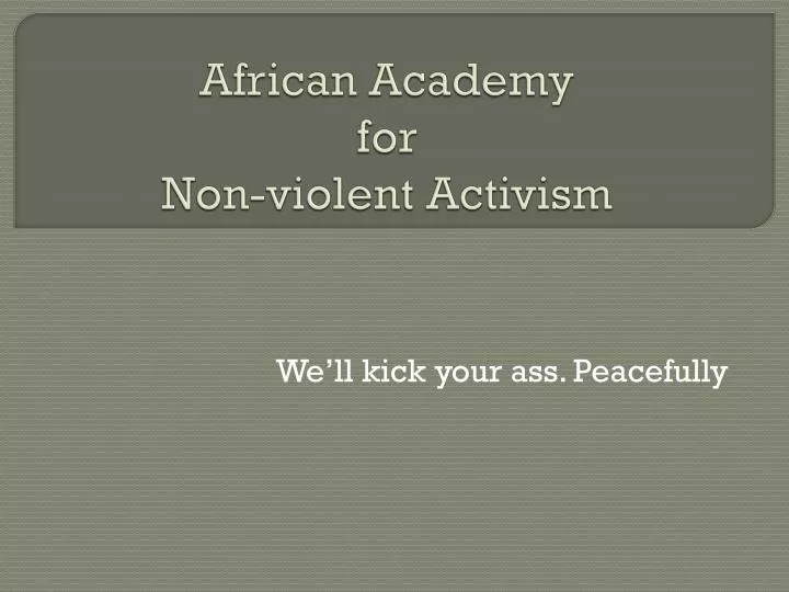 african academy for non violent activism