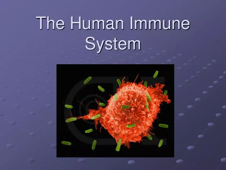 the human immune system