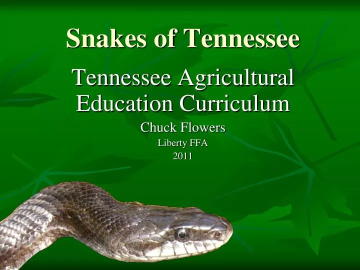 snakes of tennessee