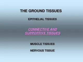 THE GROUND TISSUES EPITHELIAL TISSUES CONNECTIVE AND SUPPORTIVE TISSUES MUSCLE TISSUES