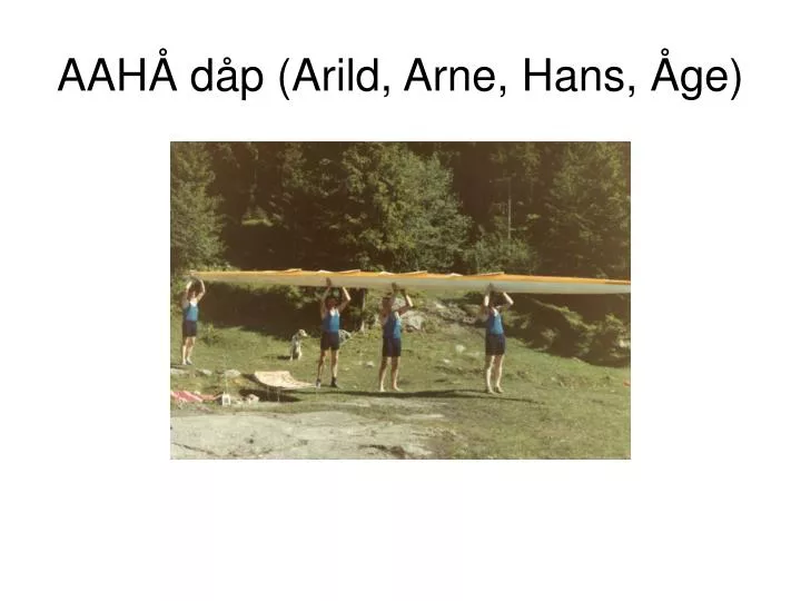 aah d p arild arne hans ge