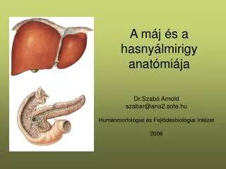 a m j s a hasny lmirigy anat mi ja