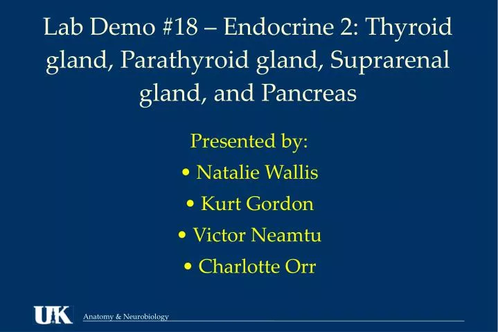 lab demo 18 endocrine 2 thyroid gland parathyroid gland suprarenal gland and pancreas