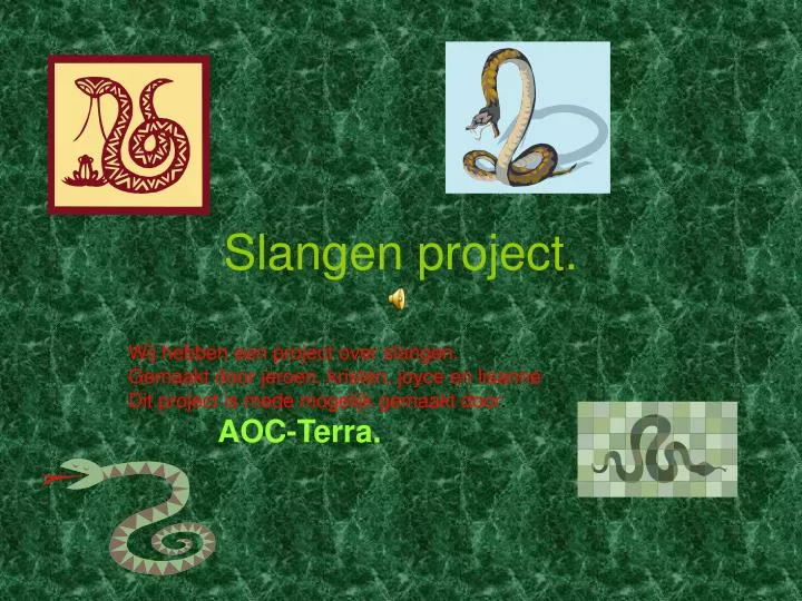 slangen project