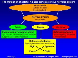 The metaphor of safety: A basic principle of our nervous system
