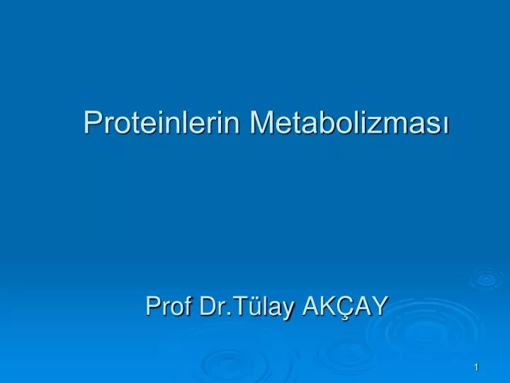 proteinlerin metabolizmas prof dr t lay ak ay