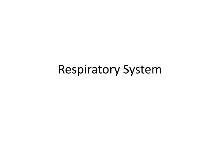 respiratory system