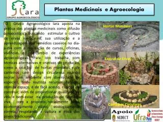 Plantas Medicinais e Agroecologia