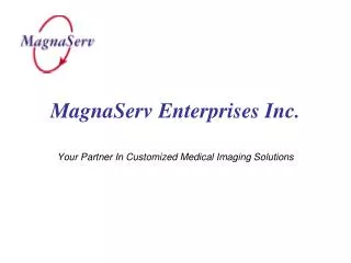 MagnaServ Enterprises Inc.