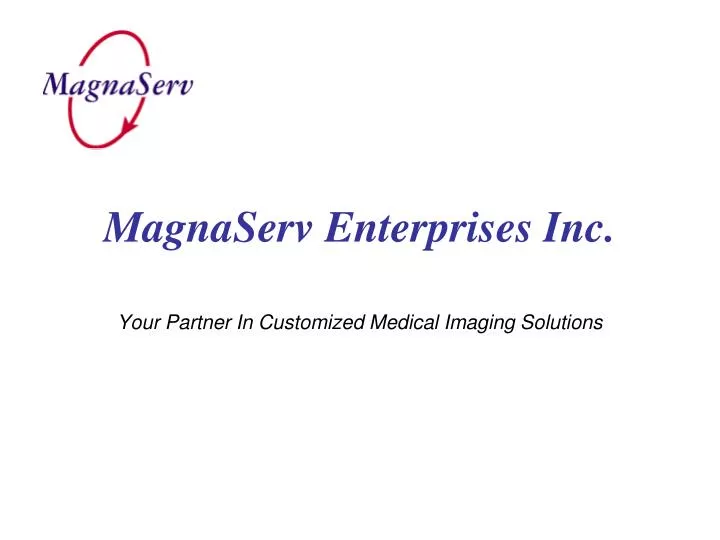 magnaserv enterprises inc