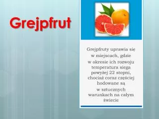 grejpfrut