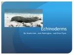 Echinoderms - slide 1