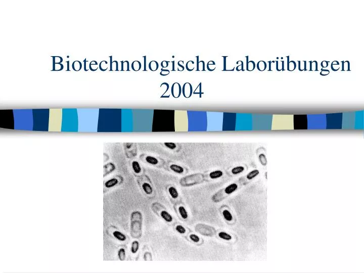 biotechnologische labor bungen 2004