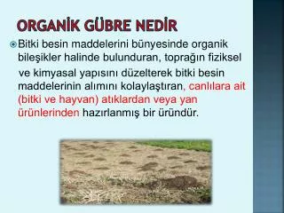 organ k g bre ned r