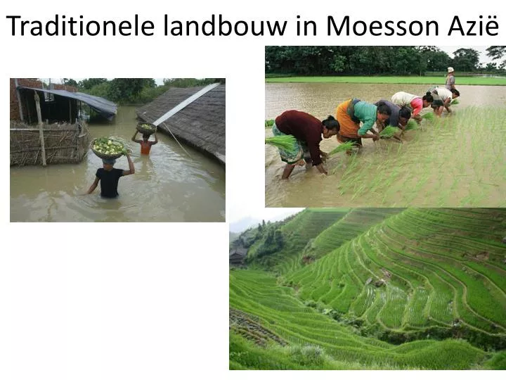 traditionele landbouw in moesson azi