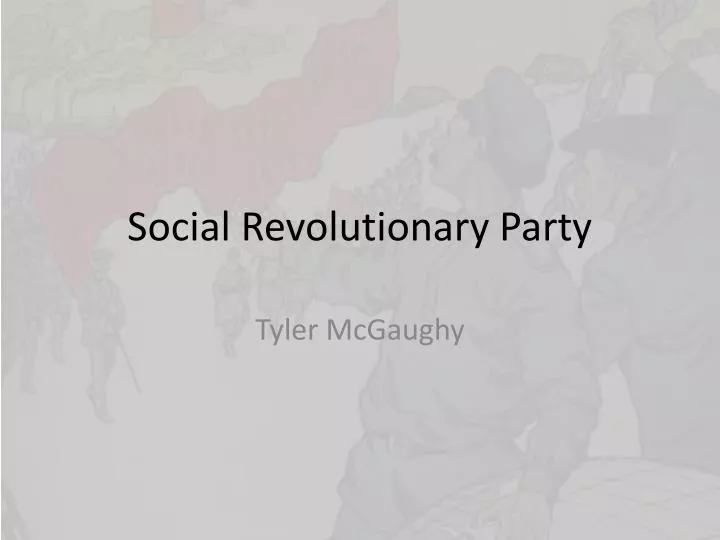 social revolutionary party