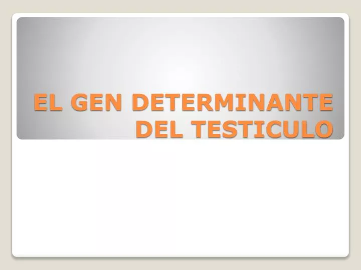el gen determinante del testiculo