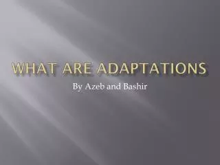 What are Adaptations