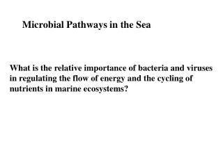 Microbial Pathways in the Sea