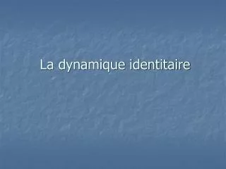 la dynamique identitaire