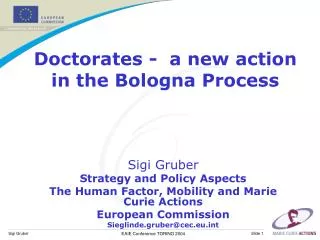 Doctorates - a new action in the Bologna Process