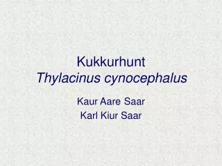 kukkurhunt thylacinus cynocephalus