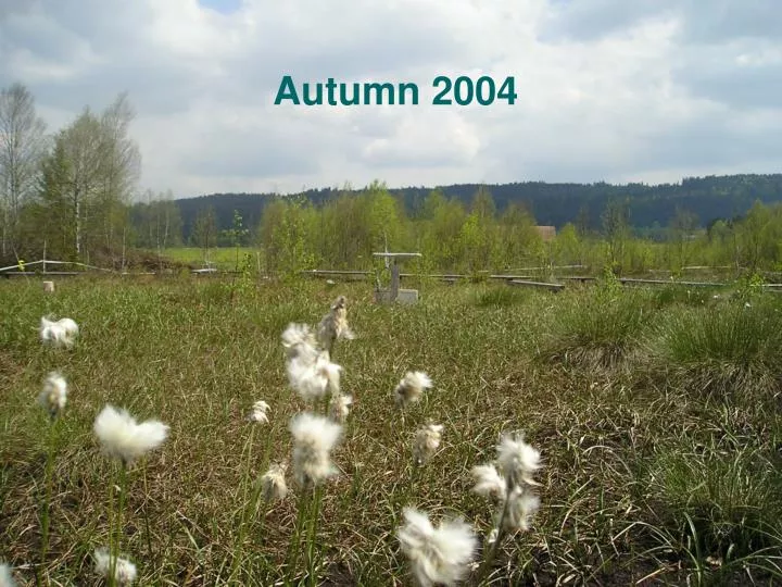 autumn 2004