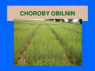 choroby obilnin