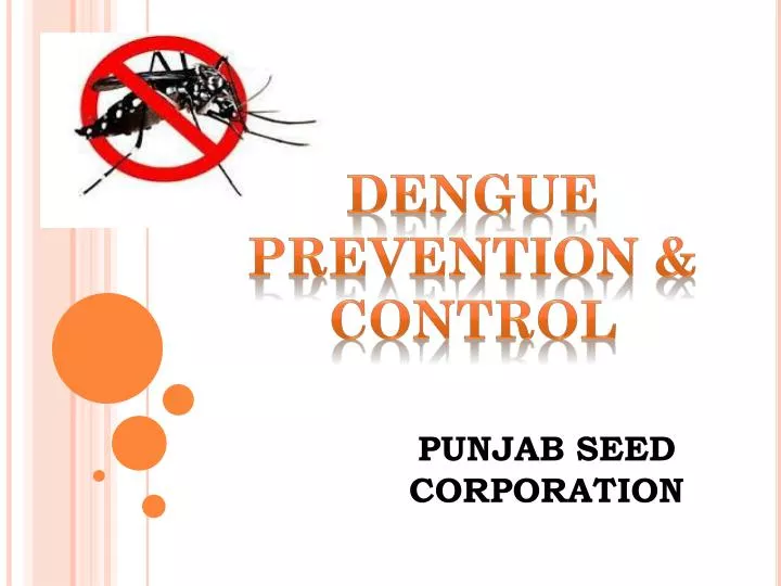 dengue prevention control