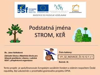 podstatn jm na strom ke