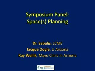 Symposium Panel: Space(s) Planning