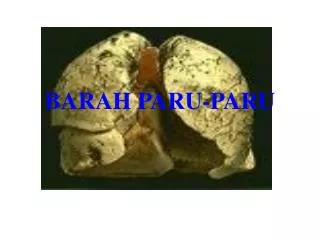 barah paru paru