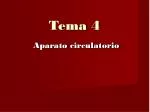 Tema 4 - slide 1