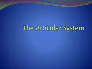 The Articular System