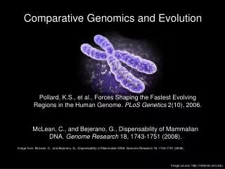 Comparative Genomics and Evolution