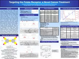 Targeting the Folate Receptor, a Novel Cancer Treatment