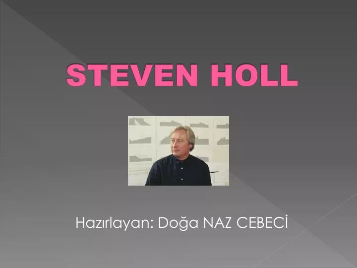 steven holl