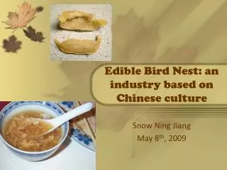 Edible Bird Nest: an industry based on Chinese culture