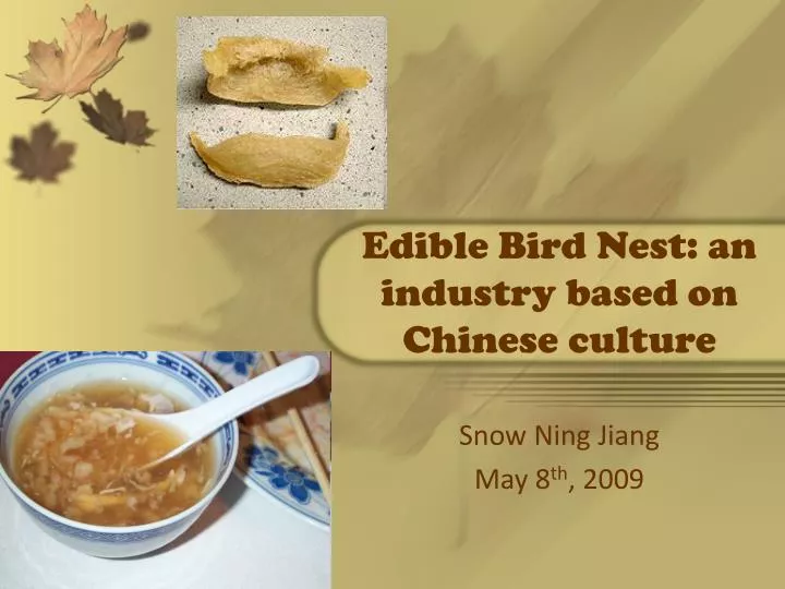 edible bird nest an industry based on chinese culture