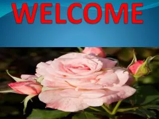 WELCOME