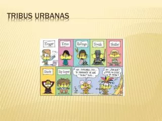 tribus urbanas