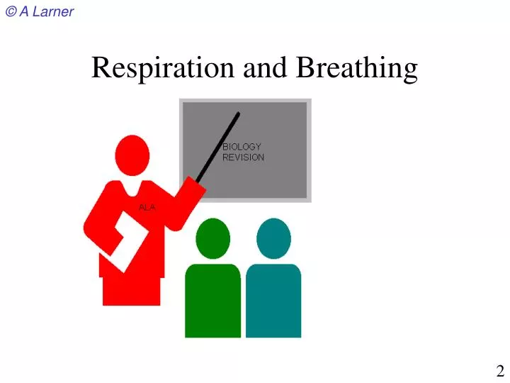 respiration and breathing