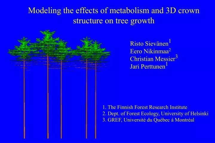 modeling the effects of metabolism and 3d crown structure on tree growth