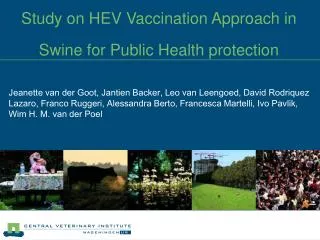 Study on HEV Vaccination Approach in Swine for Public Health protection
